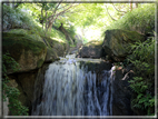 foto Giardini Trauttmansdorff - Boschi del Mondo